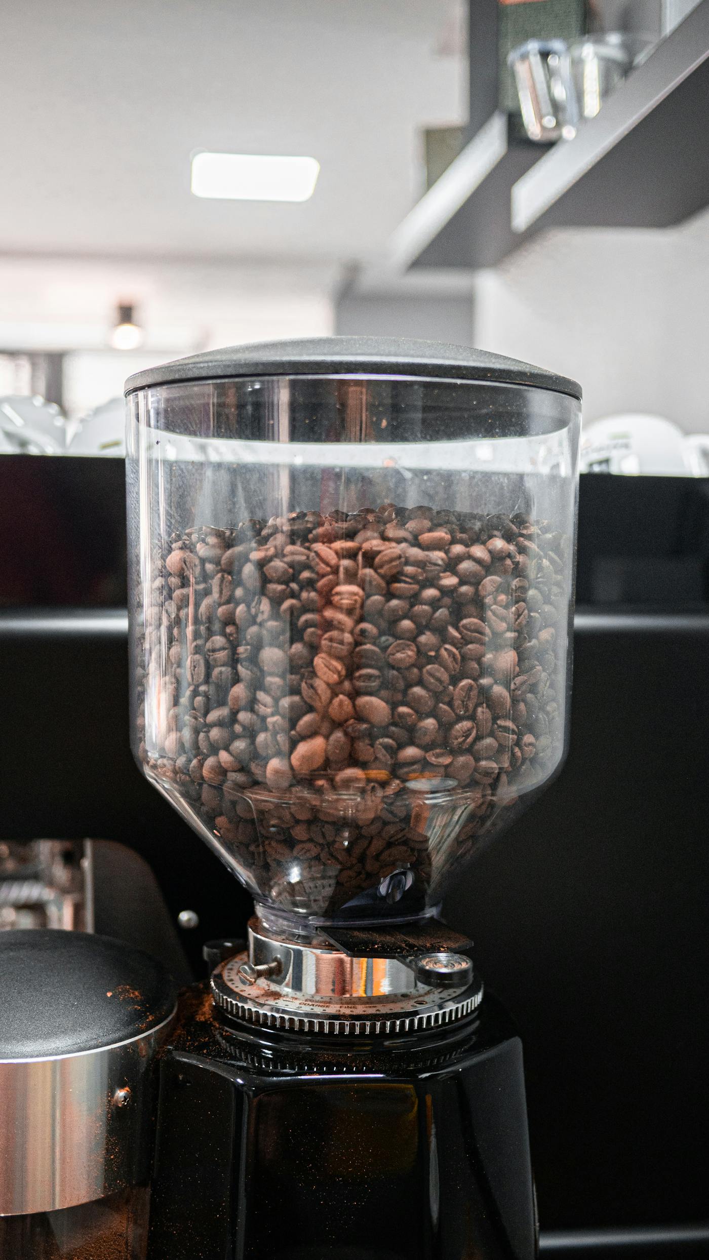 Fresh coffee beans in a burr grinder hopper